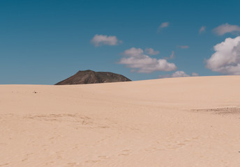 Fototapeta na wymiar Dunes next to the ocean