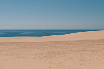 Dunes next to the ocean