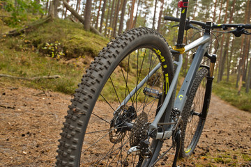 Fototapeta na wymiar mountain bike ride through the forest