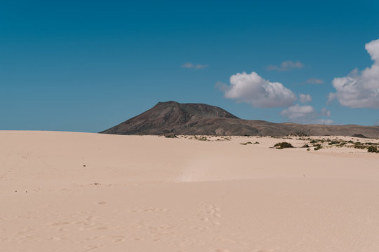 Dunes next to the ocean
