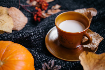 A cup of coffee on the Dars gray knitted sweater with colorful fall maple leaves and pine cones. Autumn cozy background.