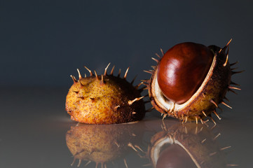 chestnuts on a black background