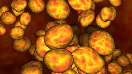 Glowing cells, microbe, eggs inside body. 3d render