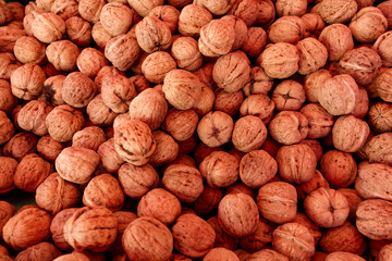 Pile of nuts. A walnut is the nut of any tree of the genus Juglans. Walnut meats are available in two forms; in their shells or shelled. Macro photography.