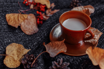 Obraz na płótnie Canvas A cup of coffee on the Dars gray knitted sweater with colorful fall maple leaves and pine cones. Autumn cozy background.