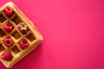 Belgian waffles with berries on colorful background