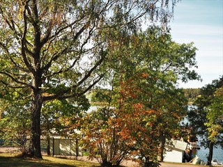 Trees with early autumn colours at Mariehamn, Aland, Finland