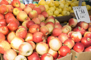 Fresh vegetables on stands of market in autumn