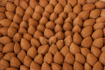 Toritto Almond, Puglia - Italy