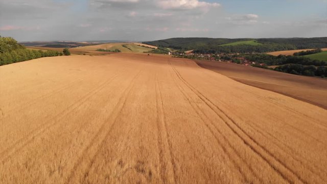 Aerial view of grain fields