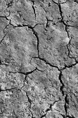 TEXTURA DE GRIETAS EN EL SUELO