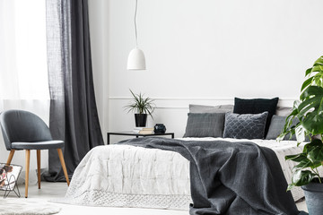 Natural light in a monochromatic bedroom interior with gray textiles, white wall, green plants and copy space