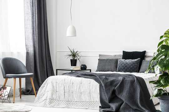 Natural light in a monochromatic bedroom interior with gray textiles, white  wall, green plants and copy space Stock Photo | Adobe Stock