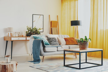 Plant on table in front of sofa with blue blanket in flat interior with poster and orange drapes. Real photo