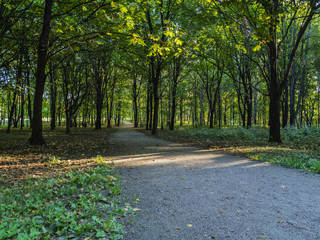 Path in the autumn garden