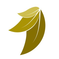 triple leaf logo design