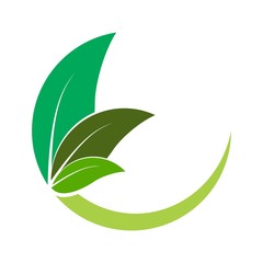 C letter with leaf logo