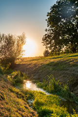Fototapeta na wymiar Landschaft am Fluss bei Sonnenuntergang