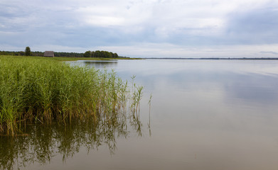 Vorpommersche Boddenlandschaft bei Wieck a. Darß