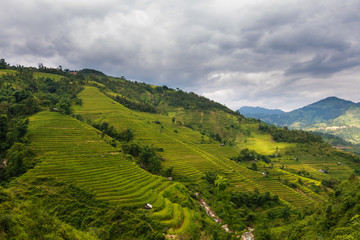 Terraces field in Hoang Su Phi, Ha Giang, Vietnam
