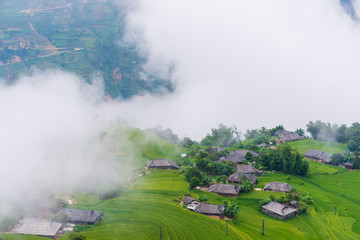 Obraz premium Terraces field in Hoang Su Phi, Ha Giang, Vietnam