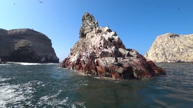 Ballestas island, Peru - September 2017: Birds and a sea lion over wavy sea in Ballestas Island, Peru