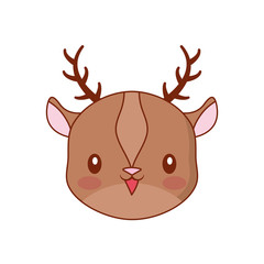 cute face deer cartoon animal
