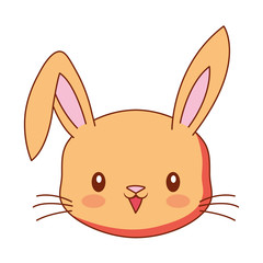 Obraz premium cute face rabbit cartoon animal