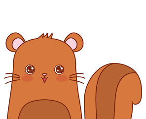 cute squirrel portrait cartoon wildlife