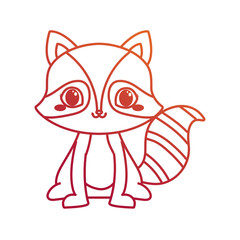 cute raccoon cartoon animal wildlife