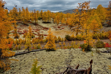 Russia. Magadan. The amazing beauty of the autumn of the Far East