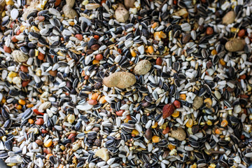 cereals for feed