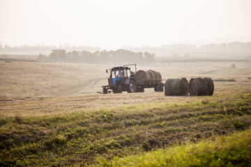 harvester gathers the wheat