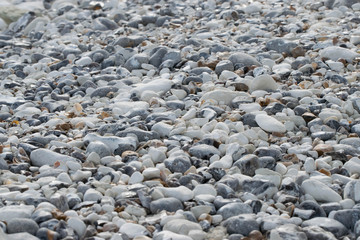 Fototapeta na wymiar All colours of stones at the beach.