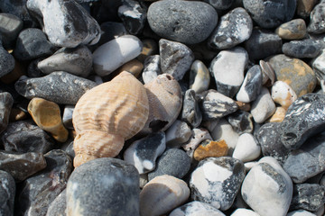 All colours of stones at the beach.