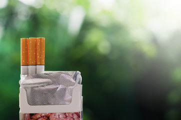 Smoking in the envelope address with green nature background