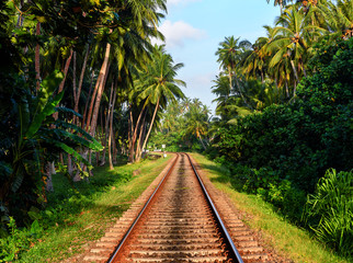 Fototapeta na wymiar exotic Sri Lankan Railway