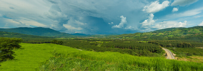 Panorama of mountains and rice fields with road and beautiful sky