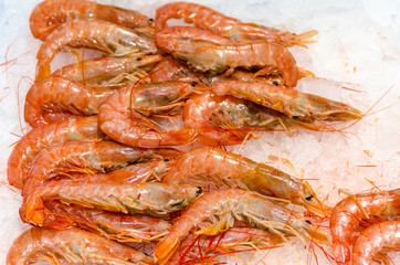 some prawns on crushed ice