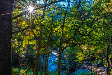 Fototapeta na wymiar Colorful Fall Hike in the Rocky Mountains in Colorado