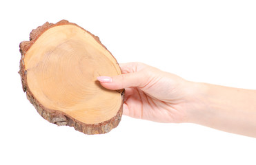 Cutting a tree in hand on a white background Isolation