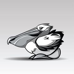 The pelican Design white background., vector.