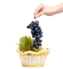 Black and white grapes in a basket  in hand on a white background isolation
