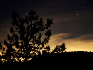 Night Time In SoCal