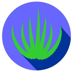 Green aloe vera flat design icon vector eps 10