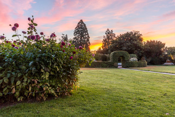 Sonnenaufgang im Botanischen Garten in Karlsruhe