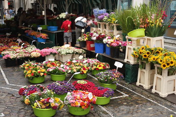 Münstermarkt, Freiburg