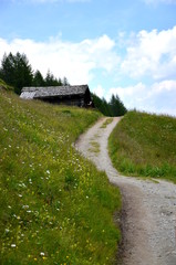 Wiesenweg in den Bergen Südtirols