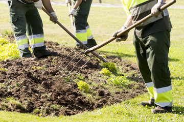 gardeners working with hand  tools in municipal garden
