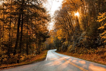 Colors of Fall